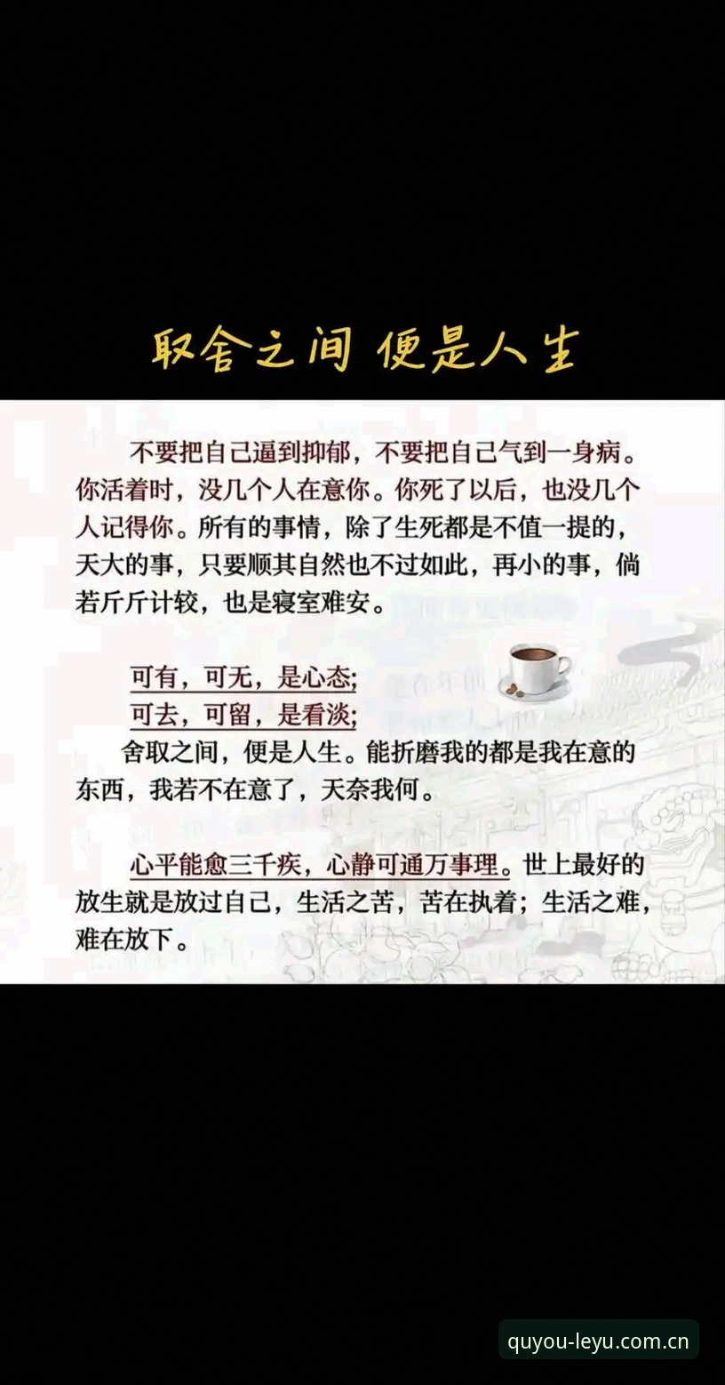 LEYU取舍有度网页登录怎么样 取舍有度网页登录避坑实录:一位资深用户五年踩坑后的经验分享